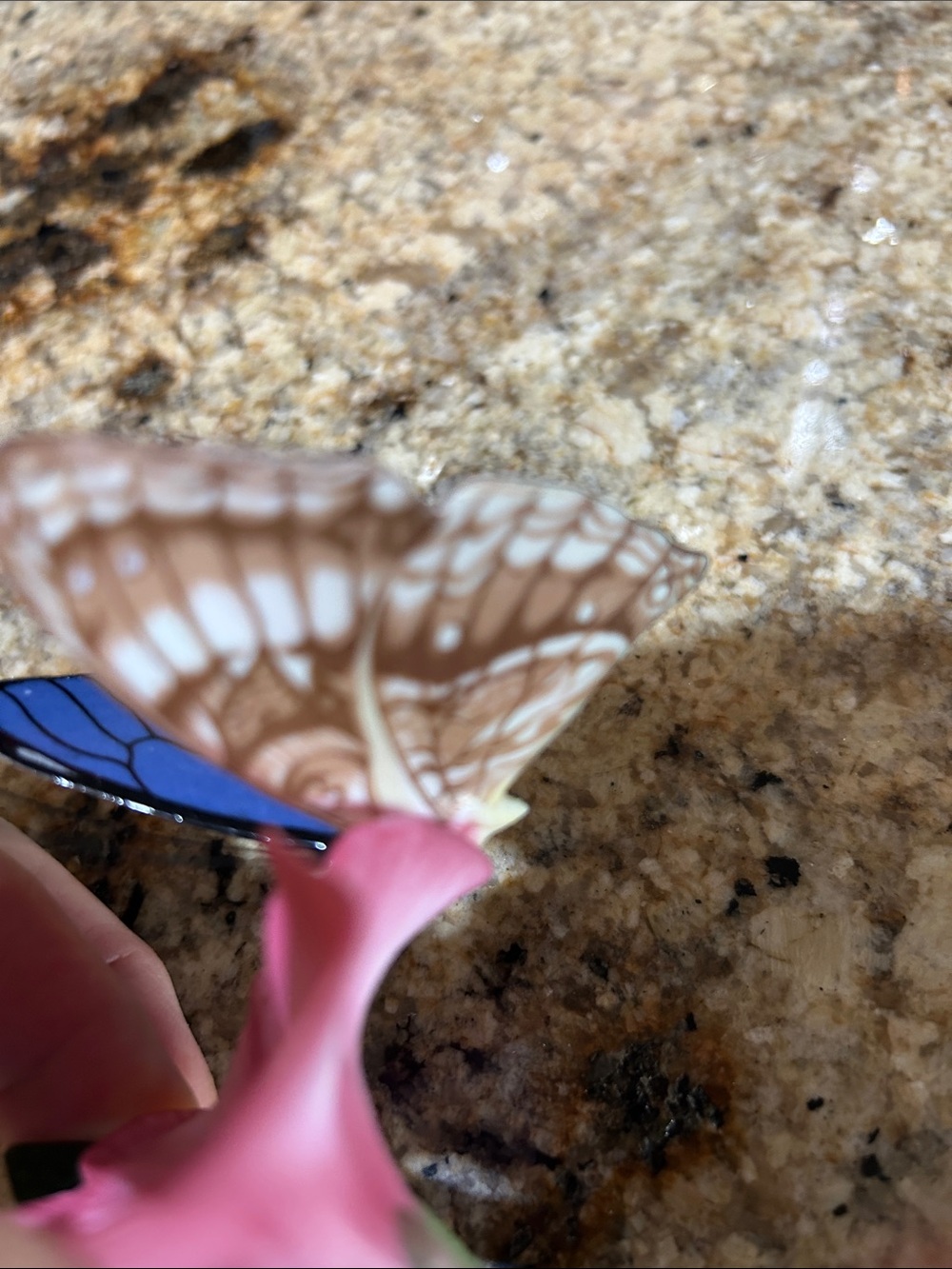 Franklin Mint "Butterflies of the World" blue morpho butterfly on a pink flower - Picture 9 of 10